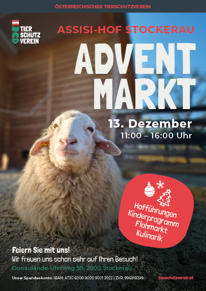 Adventmarkt 2025