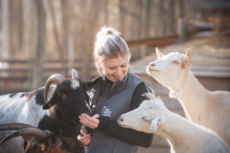 Tierpfelgerin Bea Romstorfer ©Osterreichischer Tierschutzverein