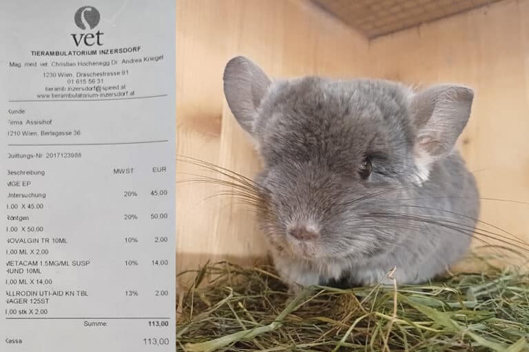Österreichischer Tierschutzverein - Spendenprojekte: Bitte hilf den Kleintieren!