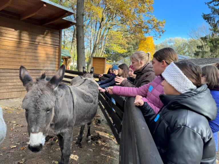 Camp Tierschutz 1 © Öster.Tierschutzverein