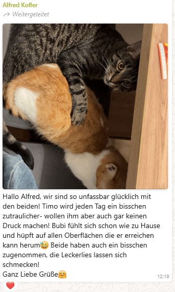 Good news von Timo und Bubi ©OeTV