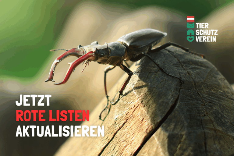 Kampagne Rote Listen 2 © Österreichischer Tierschutzverein