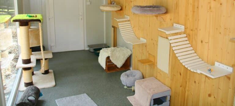 Katzenhaus innen 1 ©OeT