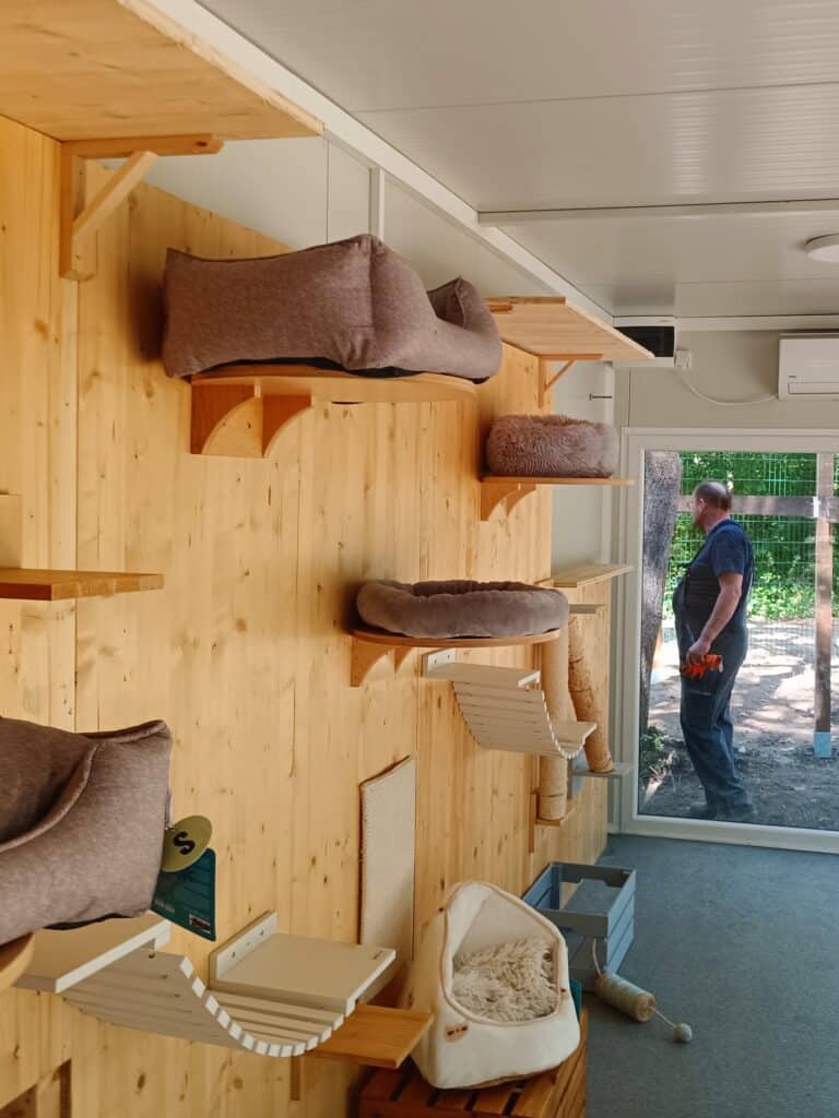 Katzenhaus innen 2 ©OeT