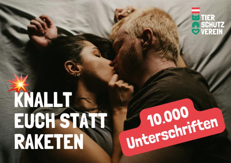 KnalltEuchStattRaketen © OeTV