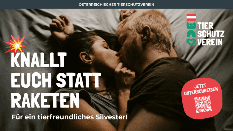Knallt Euch Statt Raketen©OeTV