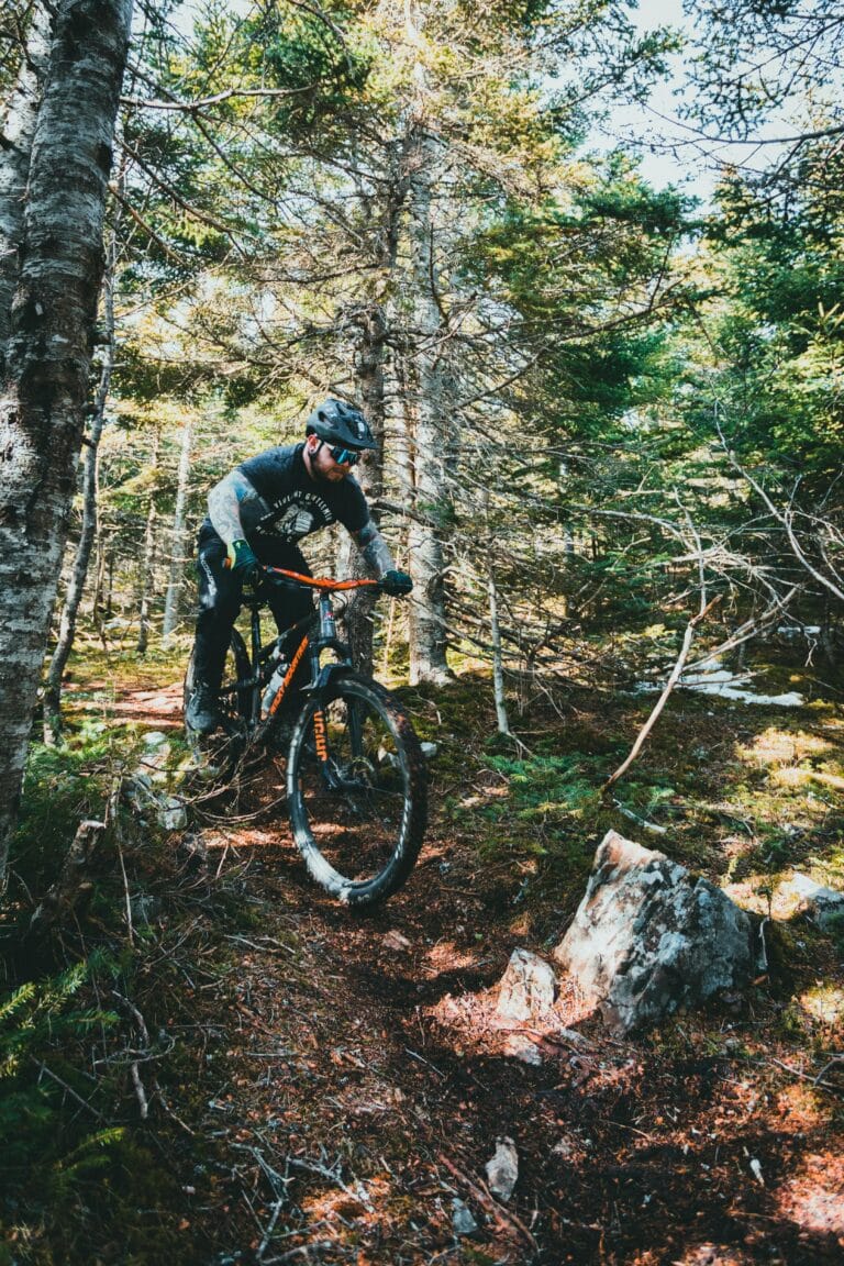 Mountainbiker im Wald 1 © pexels-theshuttervision