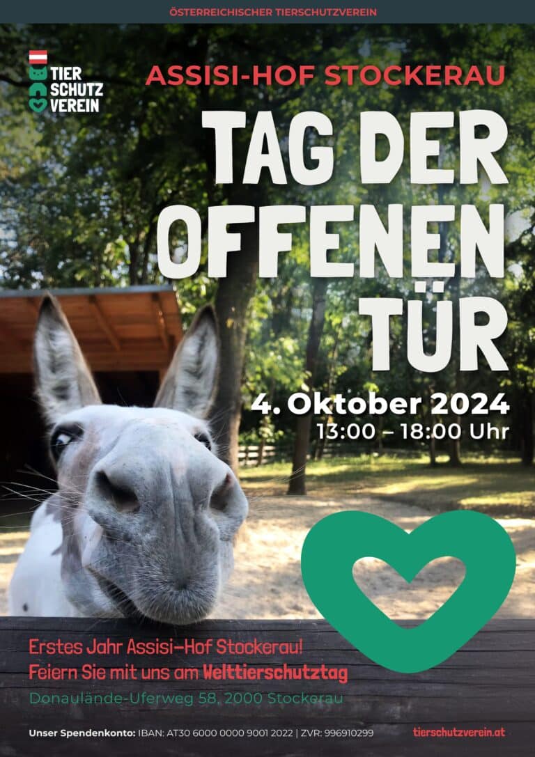 Österreichischer Tierschutzverein - Events: Tag der offenen Tür am Assisi-Hof Stockerau