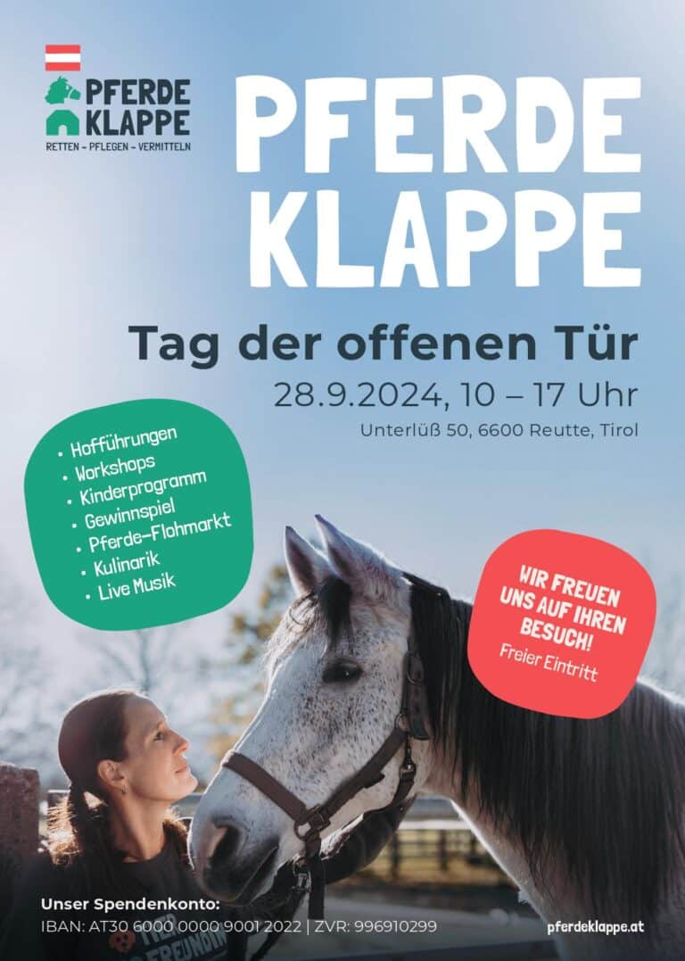 Tag der offenen Tür in der Pferdeklappe
