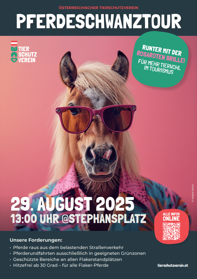 Pferdeschwanztour_Plakat OeTV
