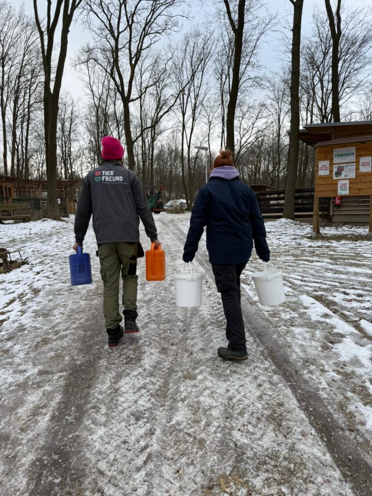 Provesorische Wasserversorgung 2 Assisi-Hof Stockerau