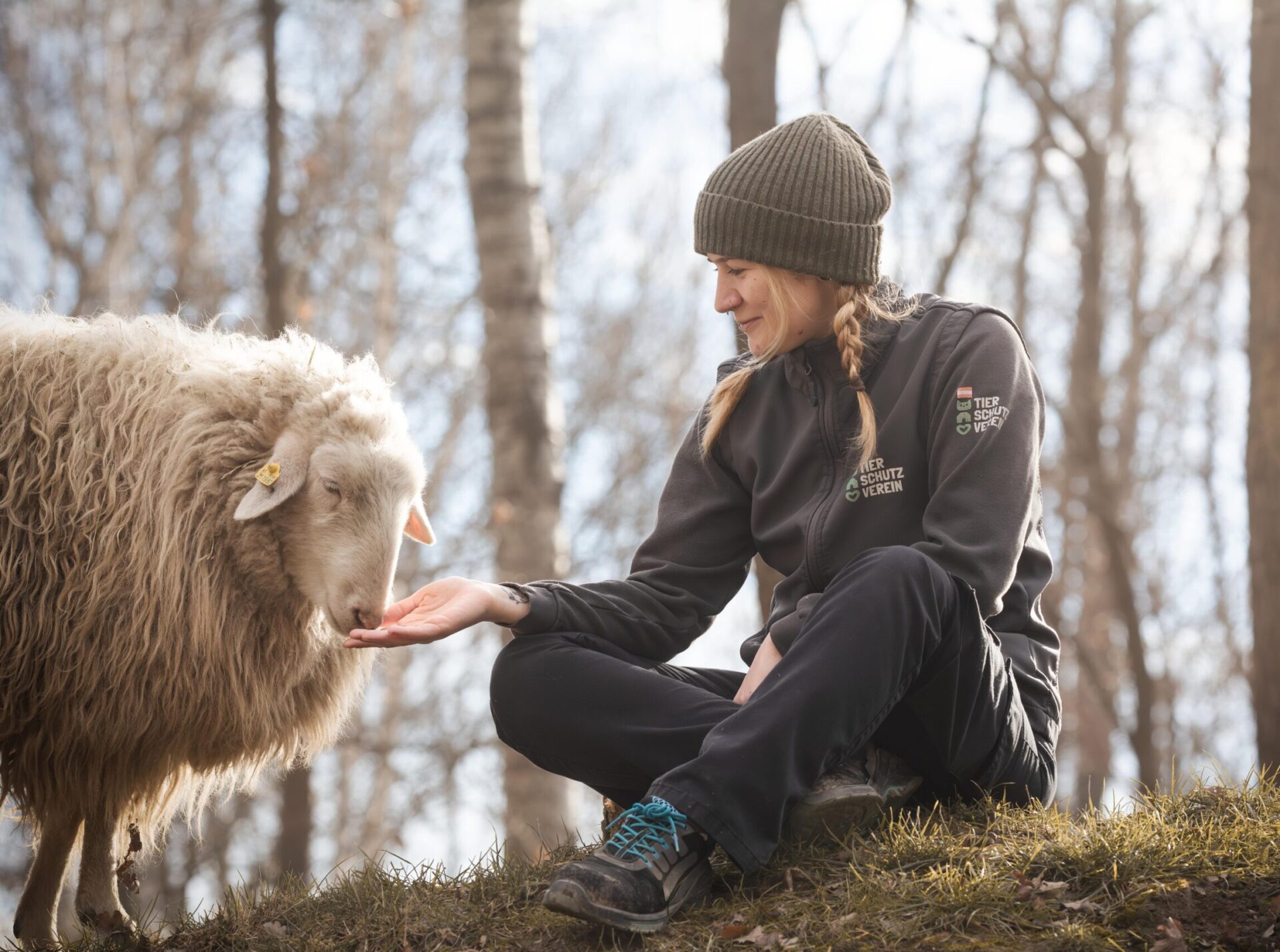 Tierpflegerin Sabrina Kisser mit Schaf Adelheid OeTV Bea Romstorfer