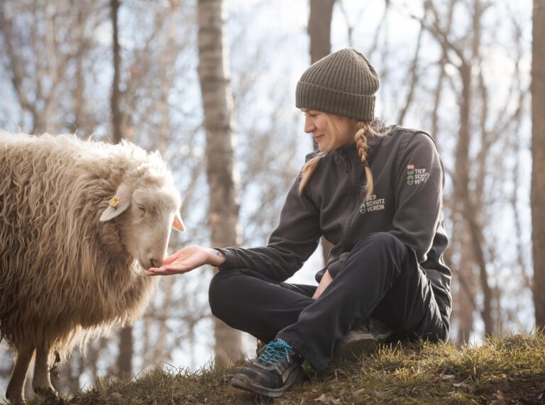 Tierpflegerin Sabrina Kisser mit Schaf Adelheid OeTV Bea Romstorfer