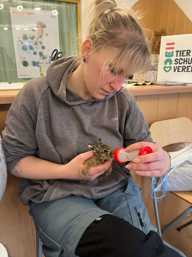 Hofleiterin Stephanie Lang füttert Hasenbaby ©OeTV