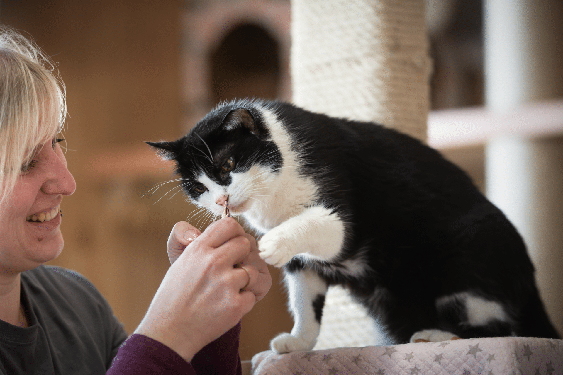 Stephi und Prinzi 2 ©OeTV Österreichischer Tierschutzverein