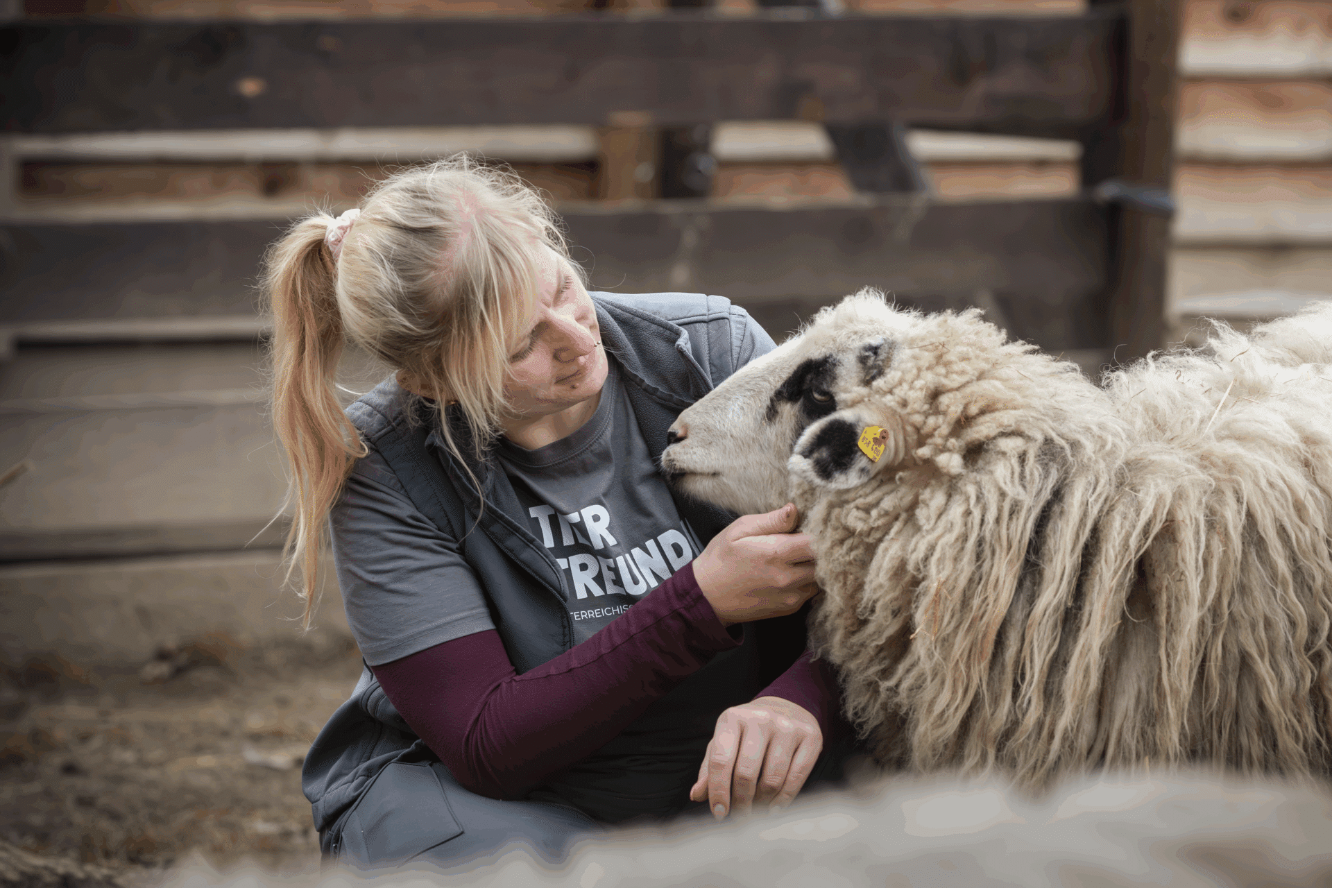Hofleiterin Stephani Lang und Schaf ©OeTV Be