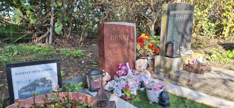 Tierfriedhof Waldesruh 4 ©ÖTV