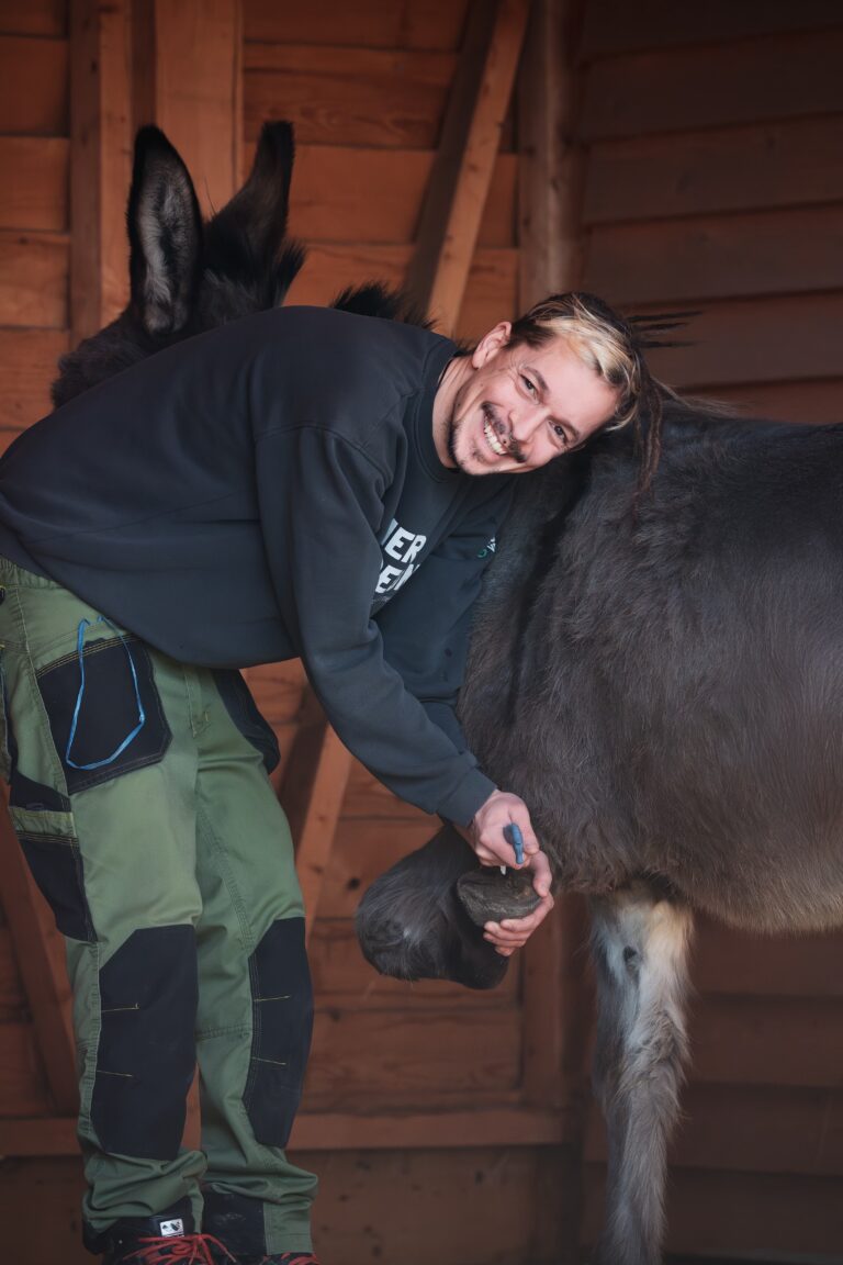 Tierpfleger Alfred Kofler Hufpflege Eselin Mädi ©OeTV/Bea Romstorfer
