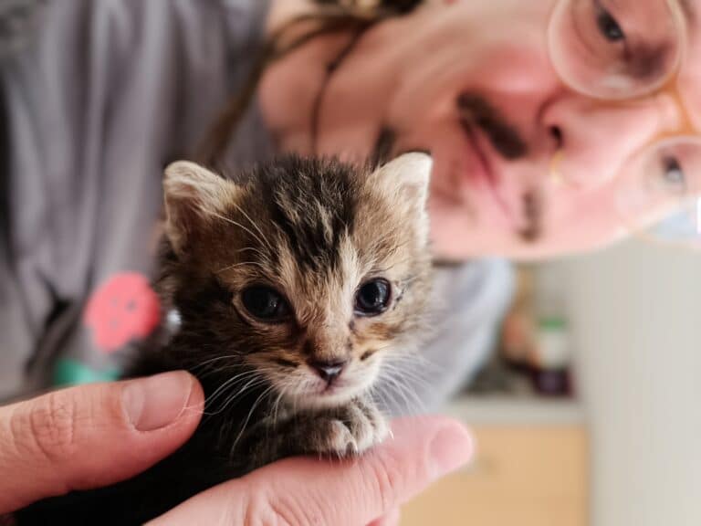 Tierpfleger Alfred Kofler und Streunerkatzenbaby Ilvy ©OeTV