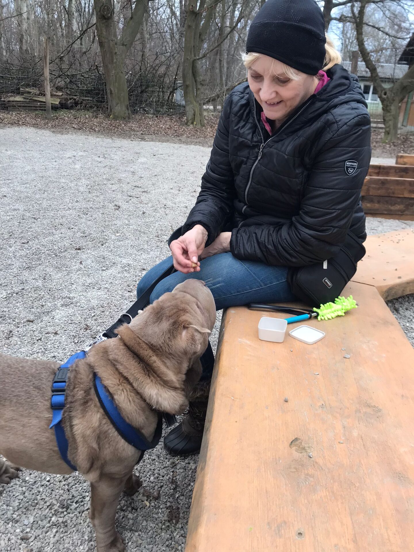 Österreichischer Tierschutzverein-Happy Ends: Emilio
