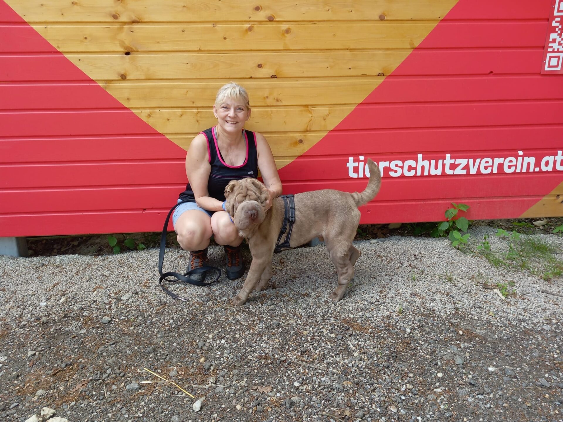 Österreichischer Tierschutzverein-Happy Ends: Emilio