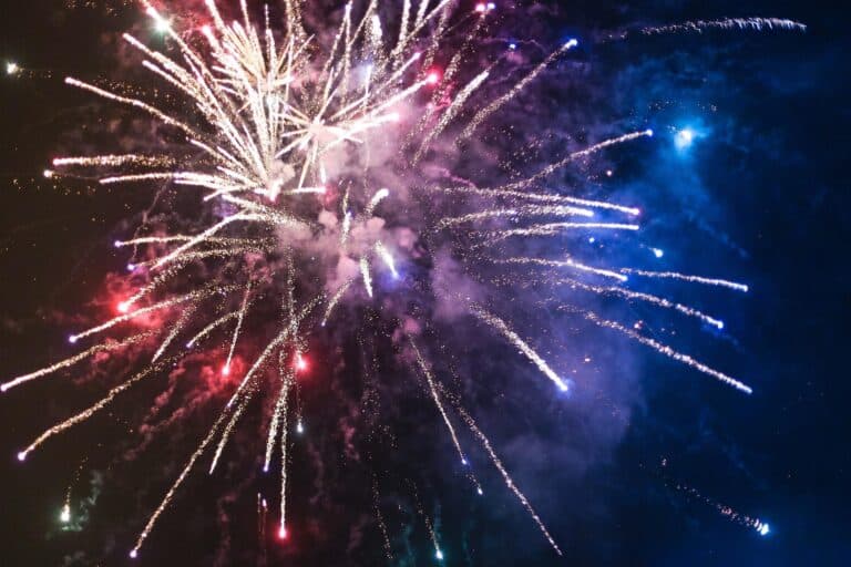 Österreichischer Tierschutzverein-Pferdewissen: Wie bereite ich mein Pferd auf Silvester vor?