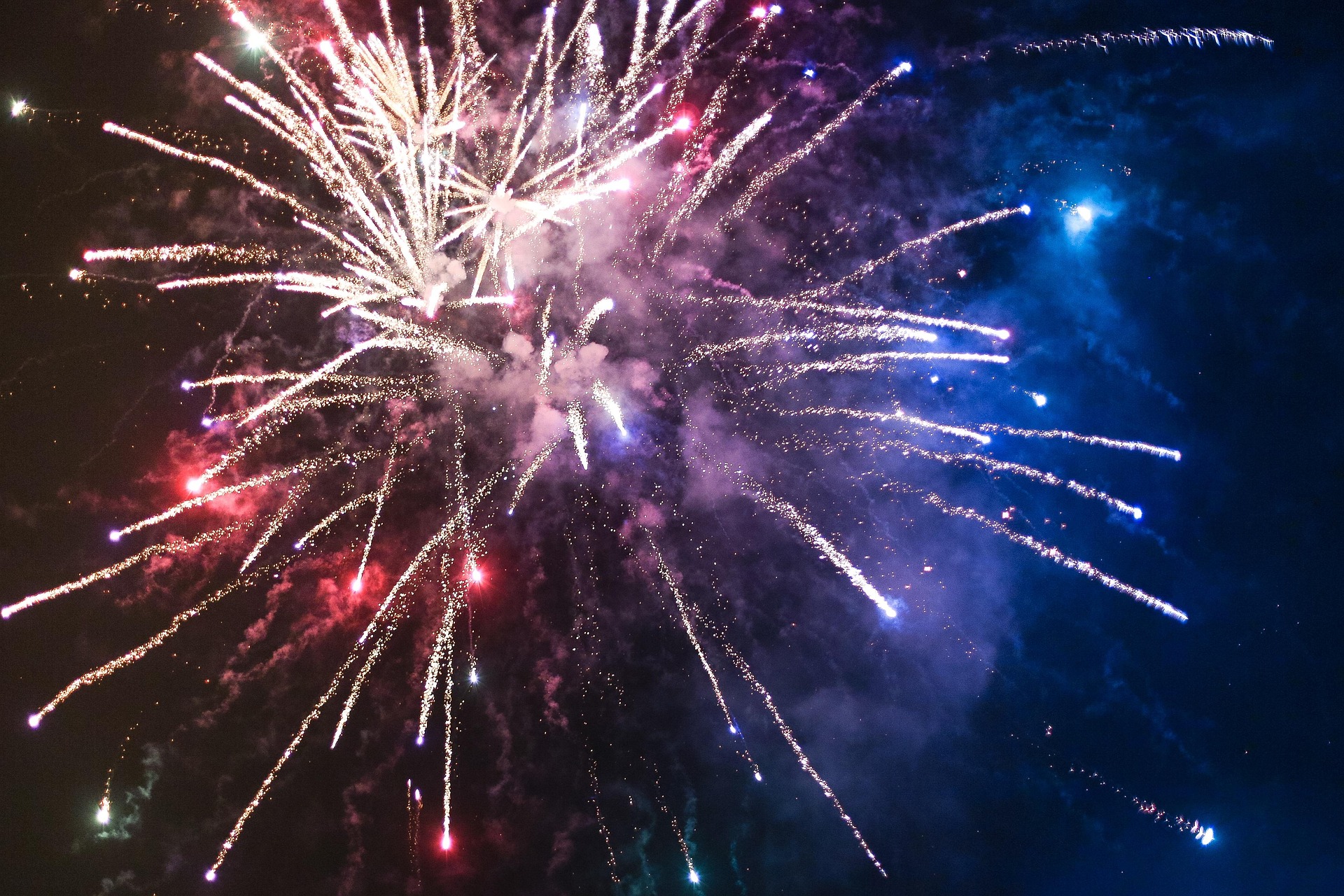 Österreichischer Tierschutzverein-Pferdewissen: Wie bereite ich mein Pferd auf Silvester vor?