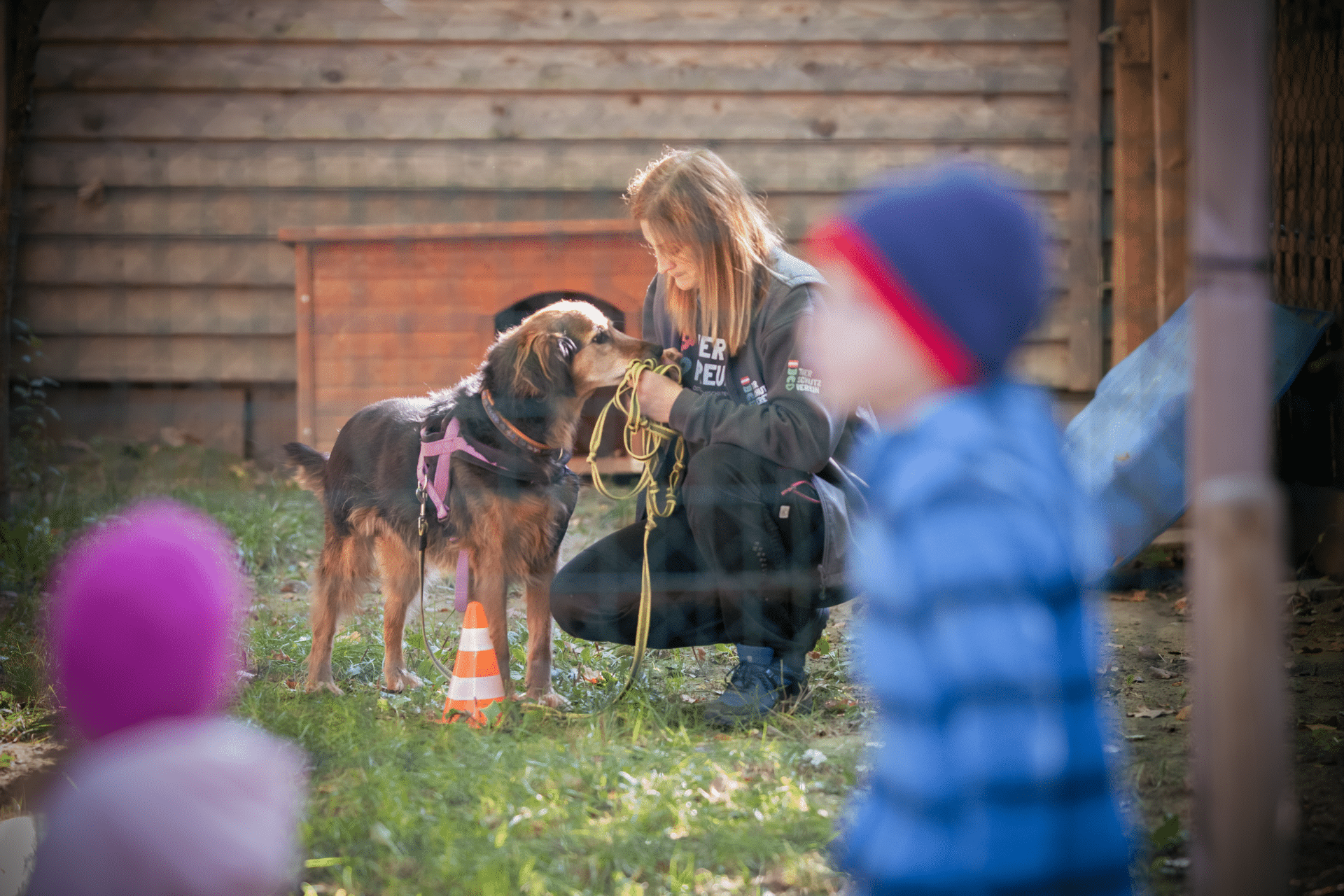 hund2 1 Österreichischer Tierschutzverein