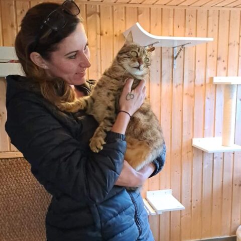 Österreichischer Tierschutzverein - Happy End Geschichten: Geschichten, die ans Herz gehen.