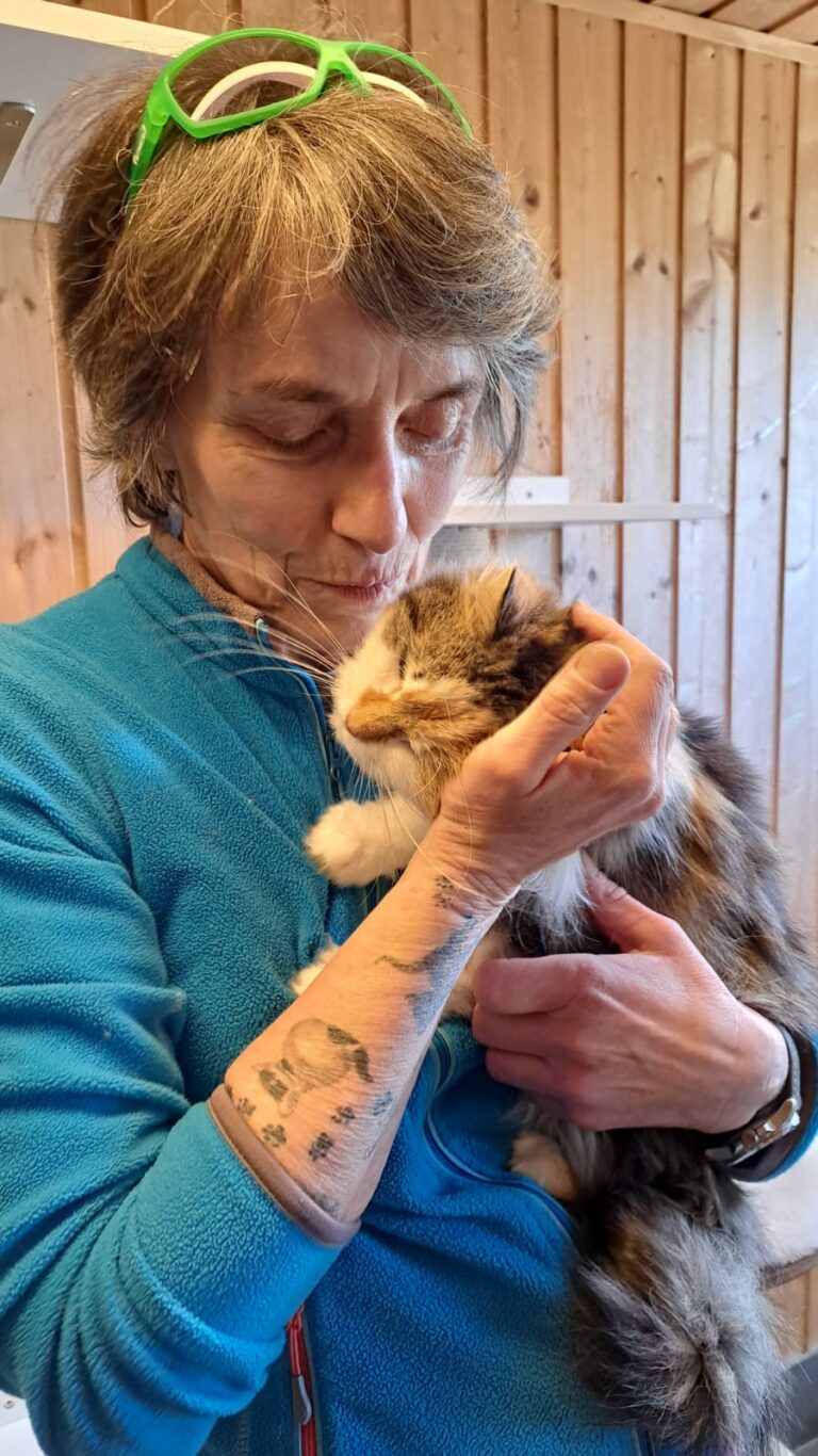 Österreichischer Tierschutzverein - Happy End Geschichten: Liebe auf den ersten Blick für Katze Franzi.