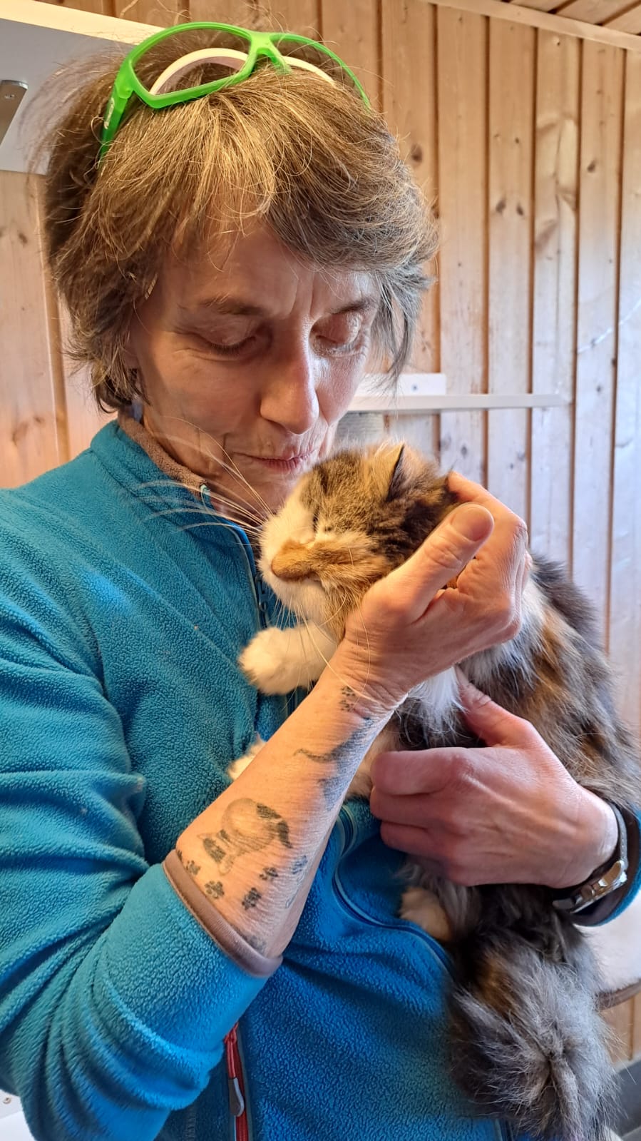 Österreichischer Tierschutzverein - Happy End Geschichten: Liebe auf den ersten Blick für Katze Franzi.