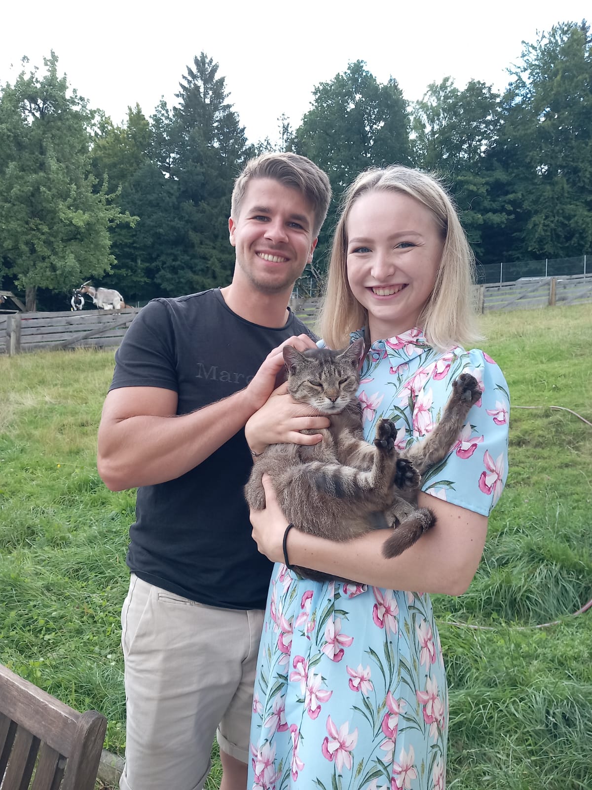 Österreichischer Tierschutzverein - Happy End Geschichten: Senior Samtpfote Mickey hat seine Herzensmenschen gefunden.
