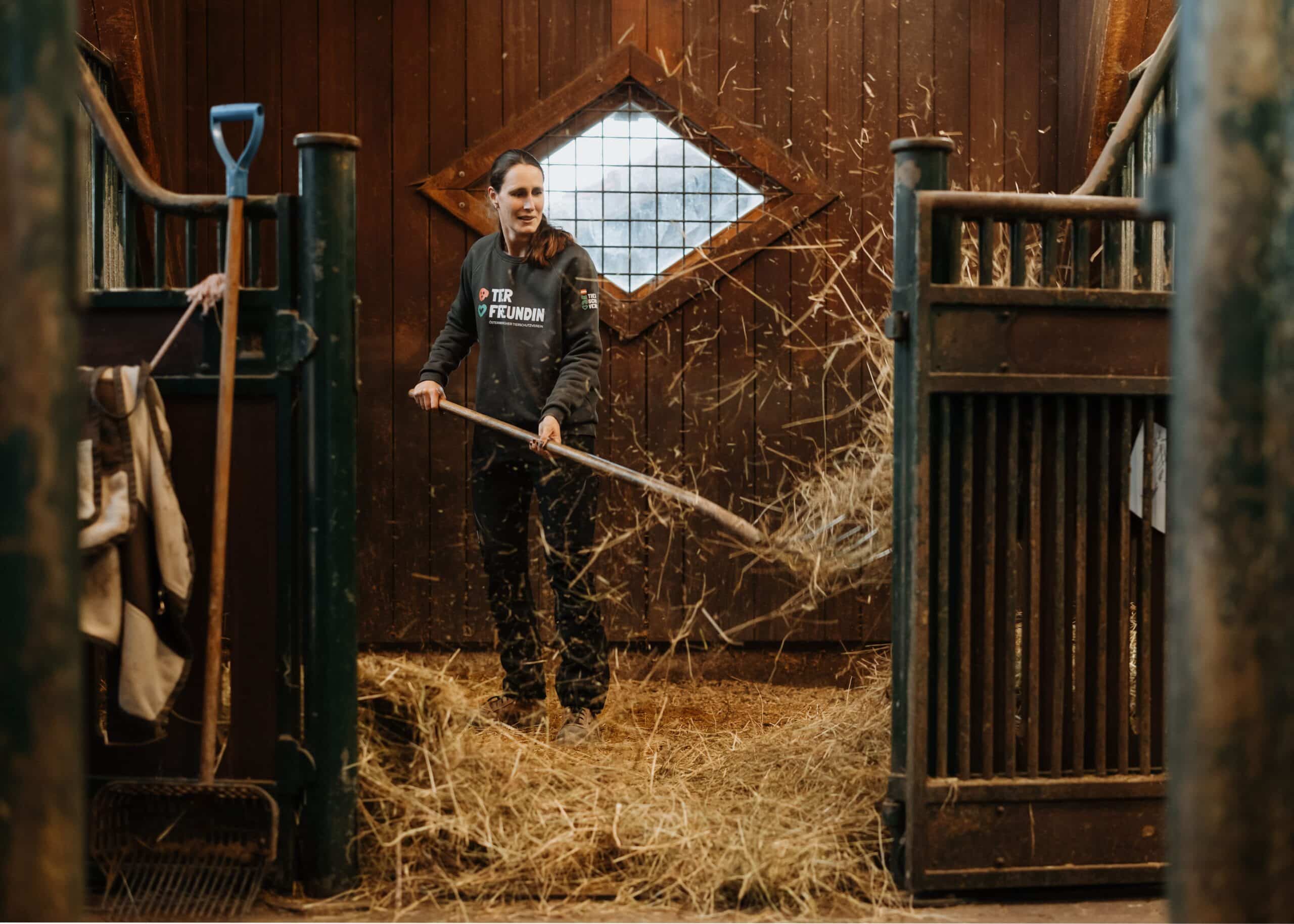Nicole Mayrhofer bei der Stallarbeit © Österreichischer Tierschutzverein