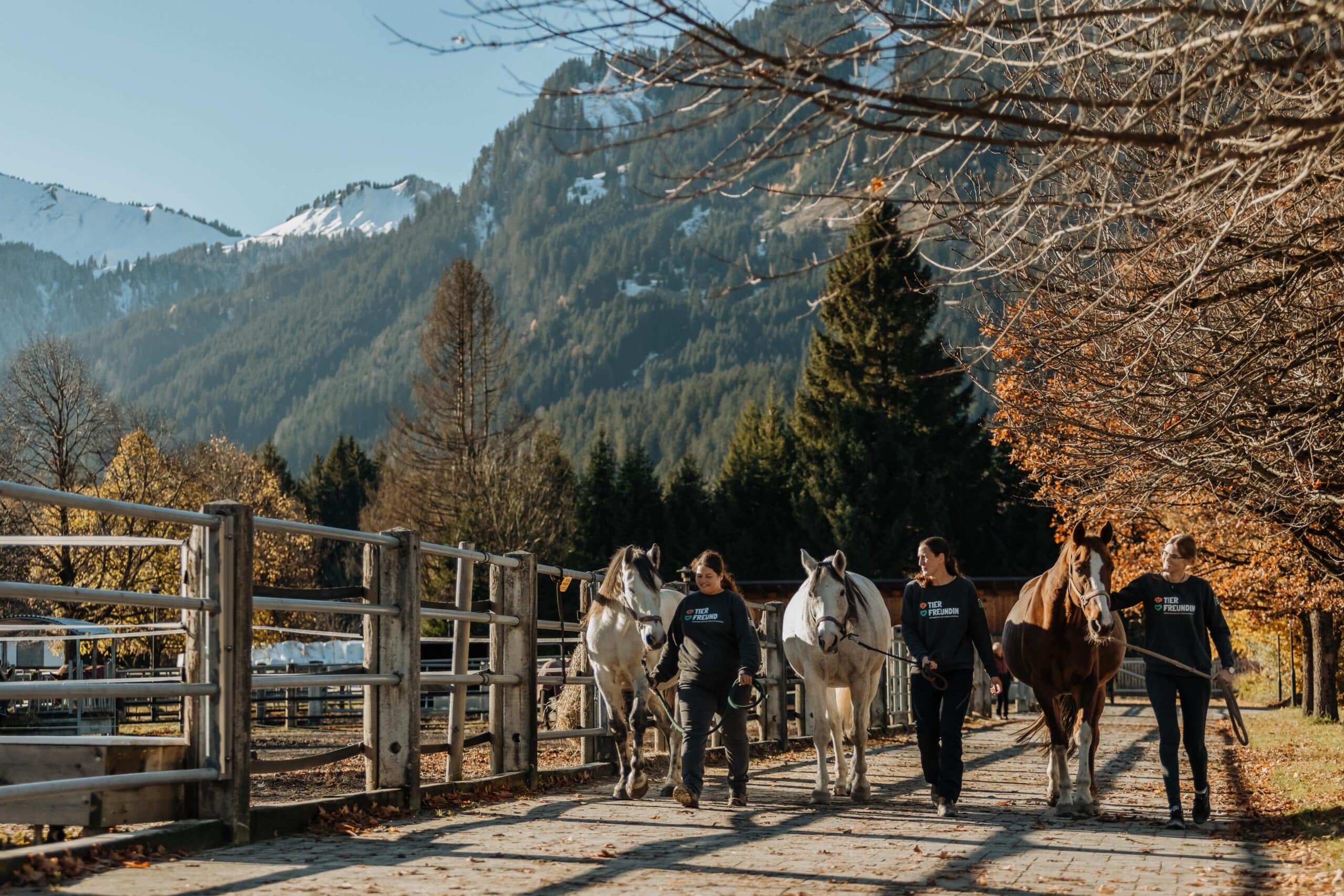 Tierpflerinnen-Team© Österreichischer Tierschutzverein