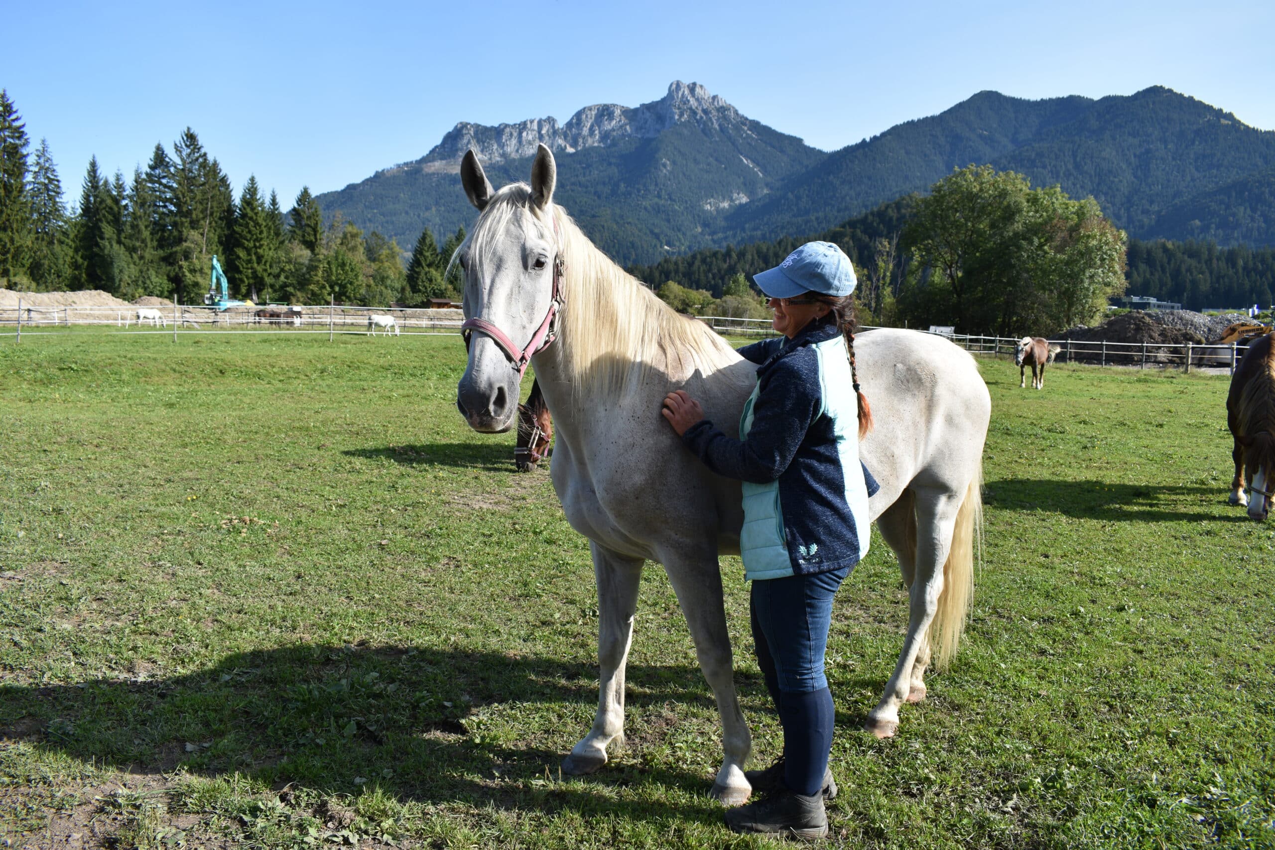 Österreichischer Tierschutzverein - Tierschutzwissen: Trauma-Pferd erlebt endlich wahre Freundschaft.