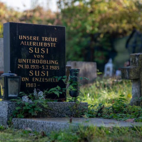 Österreichischer Tierschutzverein - Tierfriedhof Waldesruh: Unser umfangreiches Angebot.