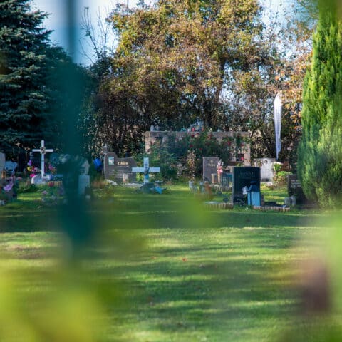 Österreichischer Tierschutzverein - Tierfriedhof Waldesruh: Unser umfangreiches Angebot.