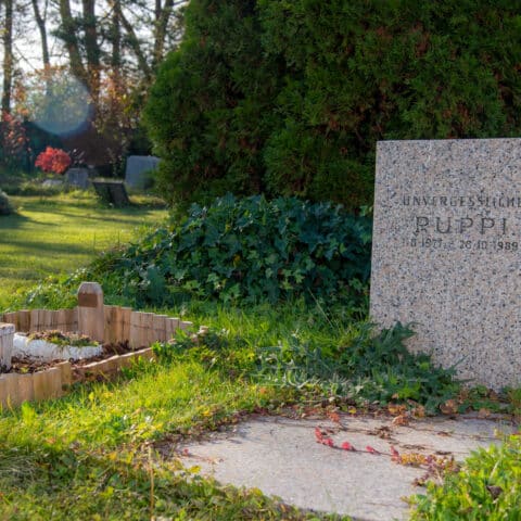 Österreichischer Tierschutzverein - Tierfriedhof Waldesruh: Tierfreundschaft im Herzen bleibt für immer.