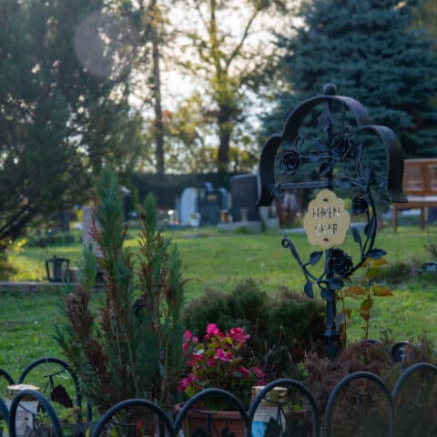 Österreichischer Tierschutzverein - Tierfriedhof Waldesruh: Unser umfangreiches Angebot.