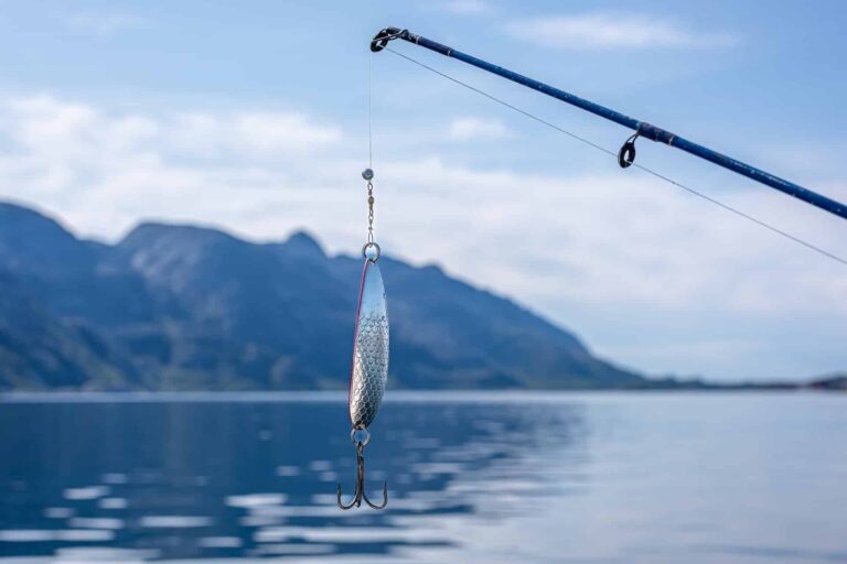 Österreichischer Tierschutzverein - Tierschutzwissen: „Catch and Release“-Angeln: Hobby oder Tierquälerei?