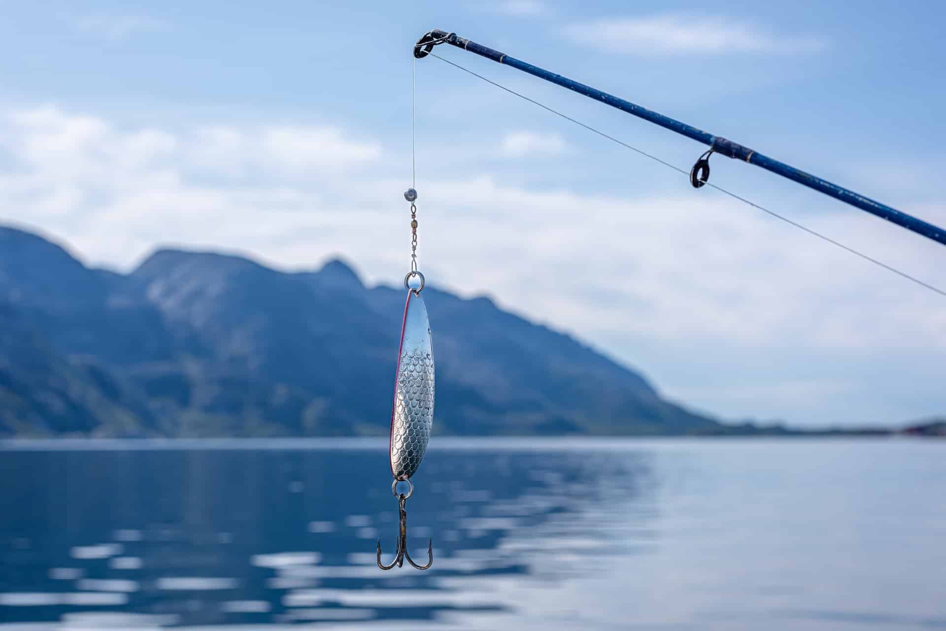 Österreichischer Tierschutzverein - Tierschutzwissen: „Catch and Release“-Angeln: Hobby oder Tierquälerei?
