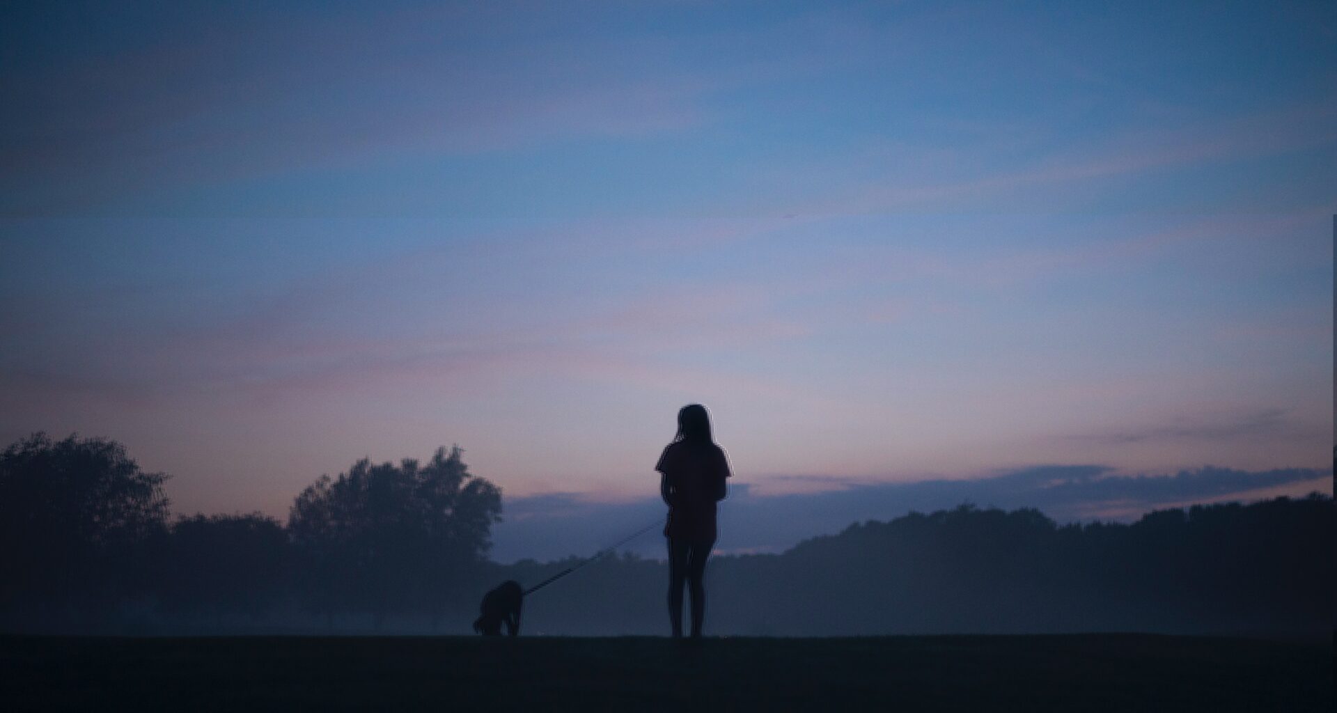tierschutzverein tierschutzwissen hunde verhalten dunkelheit Österreichischer Tierschutzverein